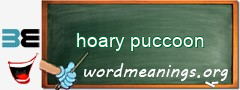 WordMeaning blackboard for hoary puccoon
